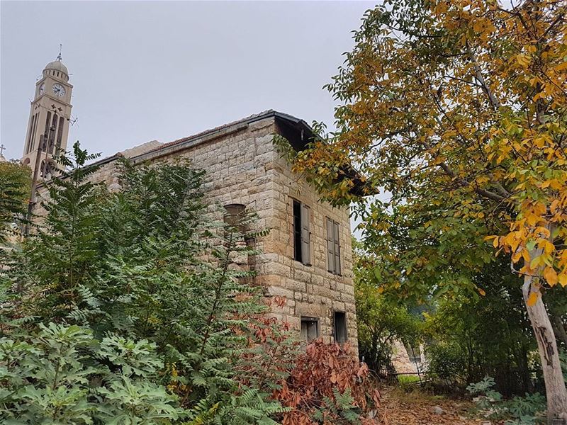Autumn... (Douma, Liban-Nord, Lebanon)