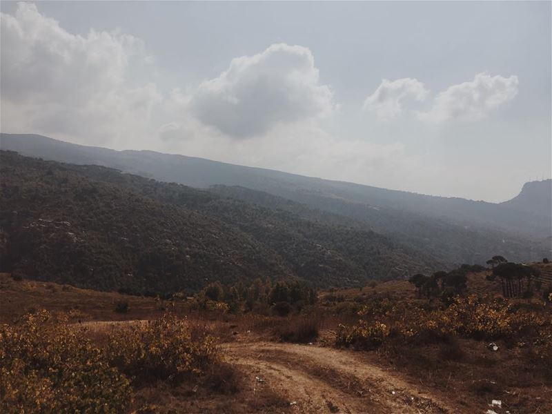 Autumn feels 🍂🍁  vsco vscocam instalebanon lebanonspotlights... (North Governorate)