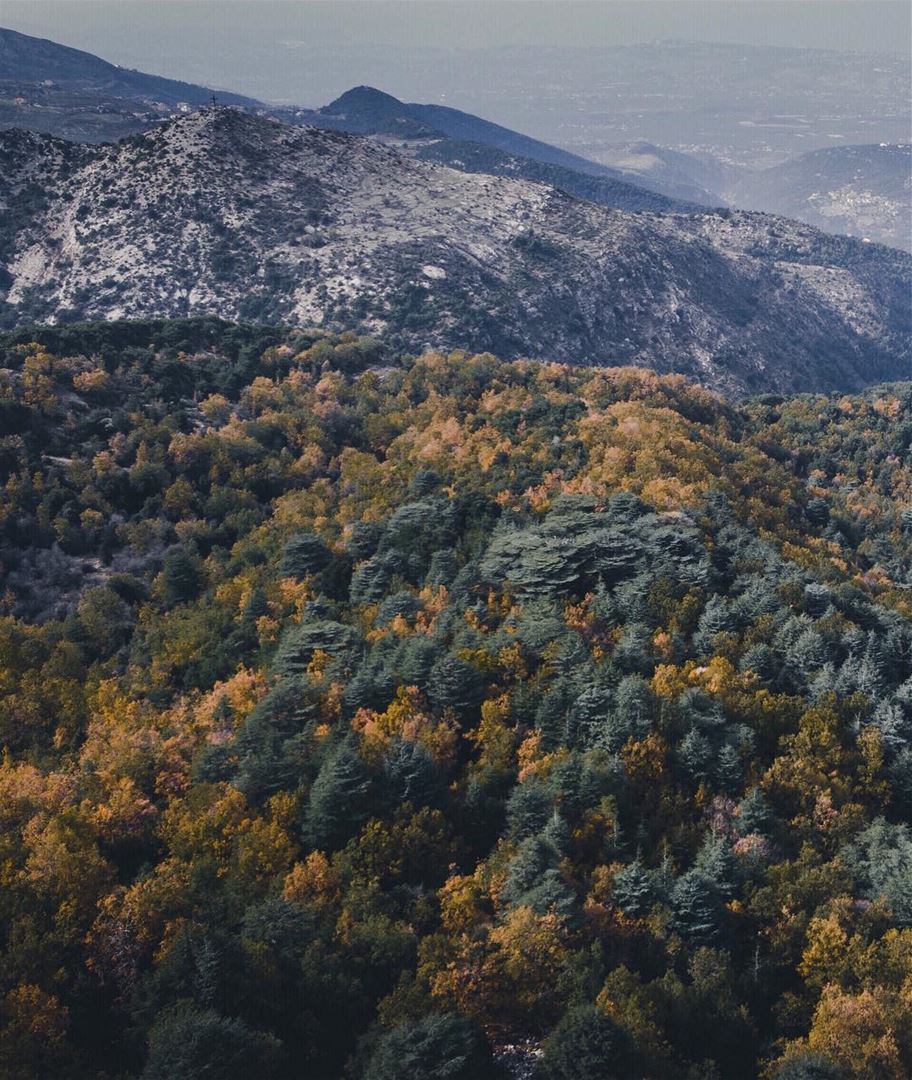 Autumn from above 🚁 (Lebanon)