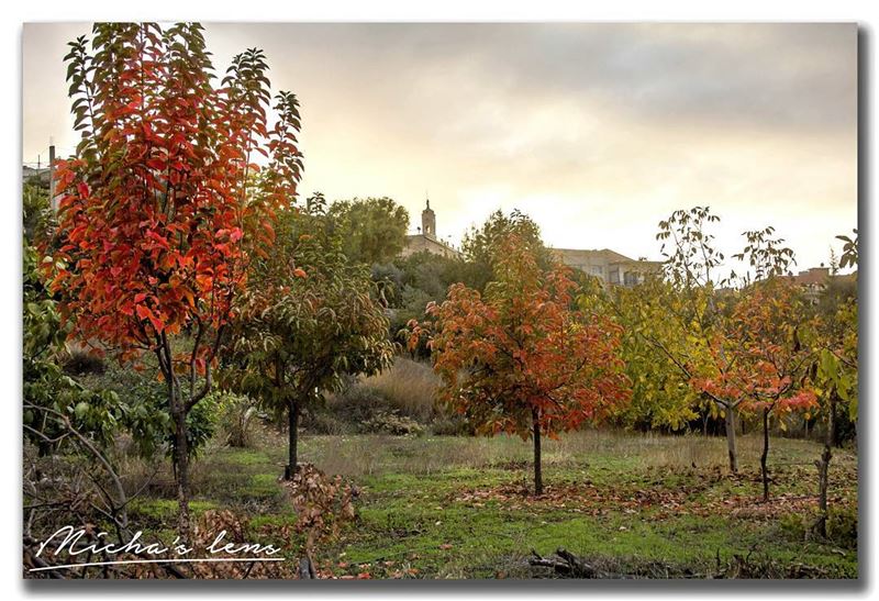 Autumn in my village Sebhel  discover961  lebanon  thebestinlebanon ...