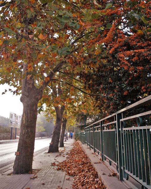 💫Autumn is a second spring when every leaf is a flower 🍁... (Sawfar, Mont-Liban, Lebanon)