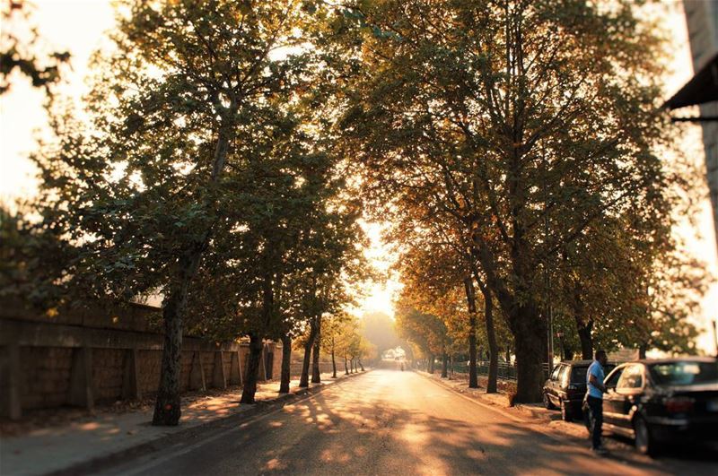 💫 Autumn is a second spring when every leaf is a flower 🍂🍁🌾... (Sawfar, Mont-Liban, Lebanon)