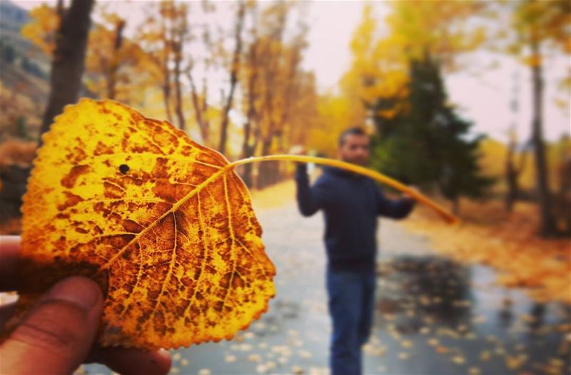 Autumn is here 🍁🍂 -by @samerbouaoun Tag us to get featured 🙌📷... (Lebanon)