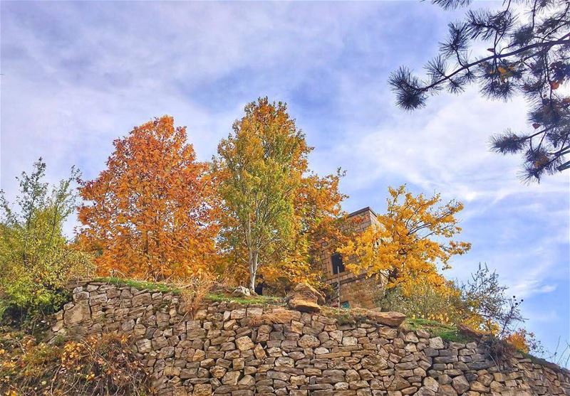 Autumn 🍂 is the season to find contentment at home 🏠 By paying... (Faraya, Mont-Liban, Lebanon)