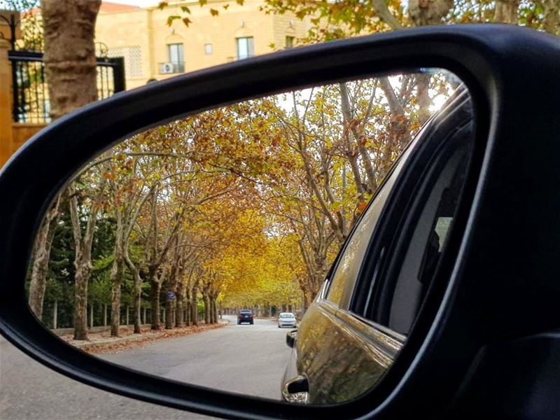  autumn  leaves  carpet 🍁🍂🍁 sawfar  corniche  fall  leaveschanging ... (Sawfar, Mont-Liban, Lebanon)