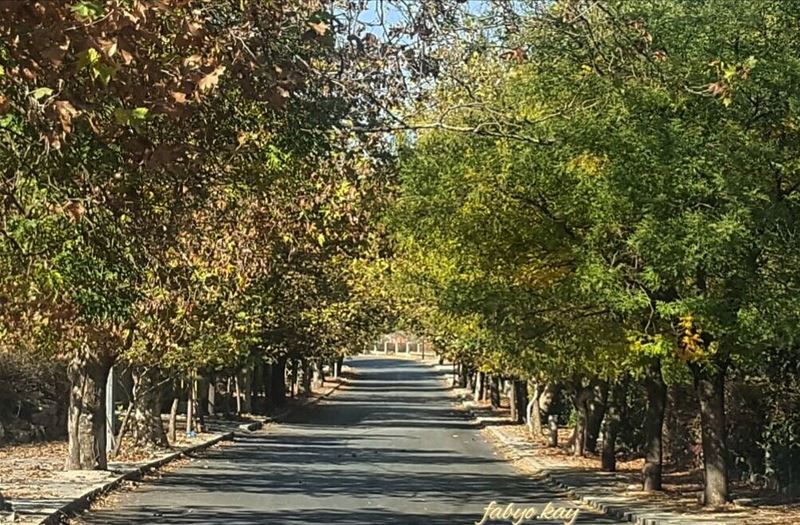  autumn lebanon sawfar igersbeirut naturelovers naturephotography view... (Sawfar, Mont-Liban, Lebanon)