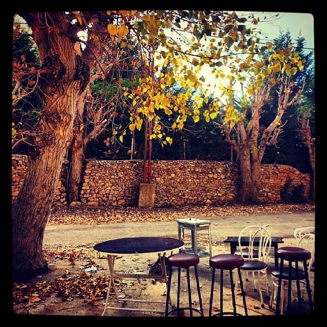  autumn  lebanon  ...