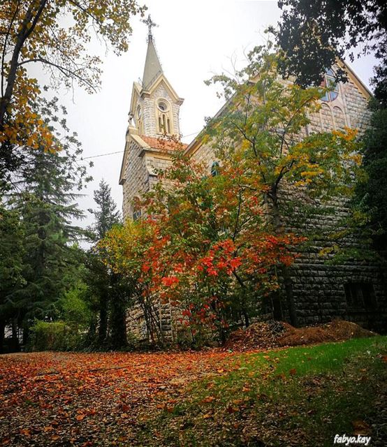  autumn nature naturelovers autumn🍁 lebanonspotlights lebanontimes like... (Mount Lebanon Governorate)