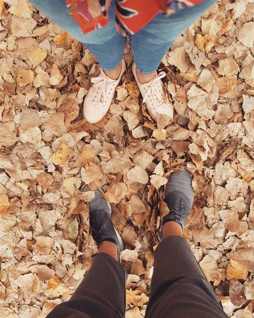 autumn patterns 🍁.. lebanon autumn yellow nature beauty color... (El Arz, Liban-Nord, Lebanon)