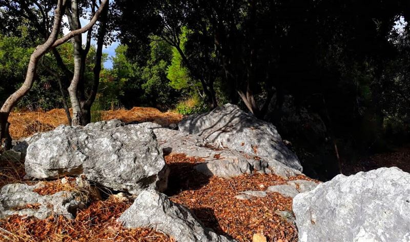  autumn  rasnhash  batroun  lebanon  kalawounphoto  monbeauliban ... (Lebanon)