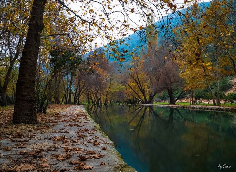 Autumn's magic 🍁🍁🍂.... waterfall lake river paradise watershot... (North Governorate)