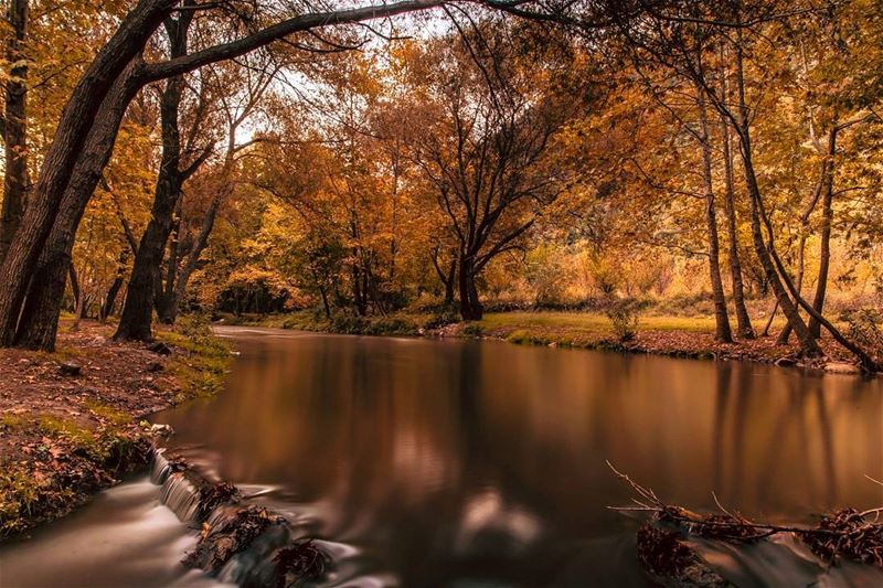 Autumn shows us how beautiful It is To let things go 🍁🍂.... autumn... (3youn el Samak)
