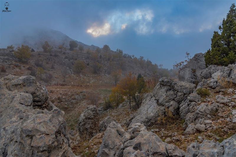 Autumn spirit from a Hunter/Photographer VIEW!!!... (Jered Tannourine)