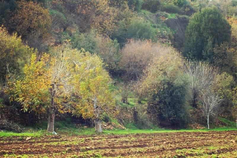 autumn🍁 spirit hermel  hermel_city  bekaa  lebanon_pictures  ... (El Hermel, Béqaa, Lebanon)