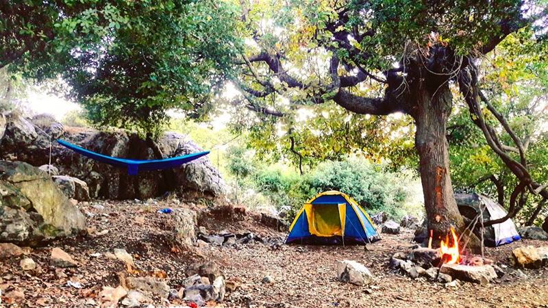  autumn sunday morning camp camping hike hiking bonefire fire tent hammock...