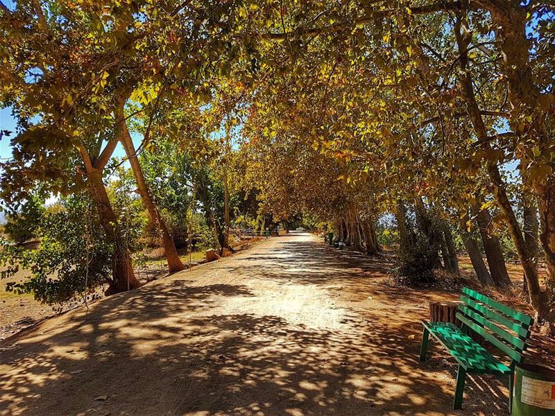 Autumn...the year's last, loveliest smile.  autumn  autumnleaves  season ... (Deïr Taanâyel, Béqaa, Lebanon)