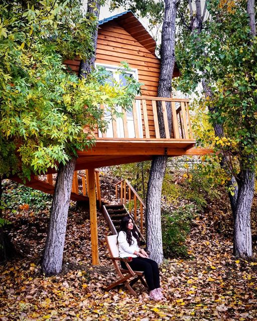  Autumn  TreeHouse  Colorful  Nature  NatureLovers  Laklouk  Lebanon... (El Laklouk, Mont-Liban, Lebanon)