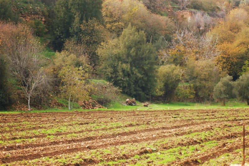  autumn🍁 vibes hermel  hermel_city  bekaa  lebanon_pictures  ... (El Hermel, Béqaa, Lebanon)