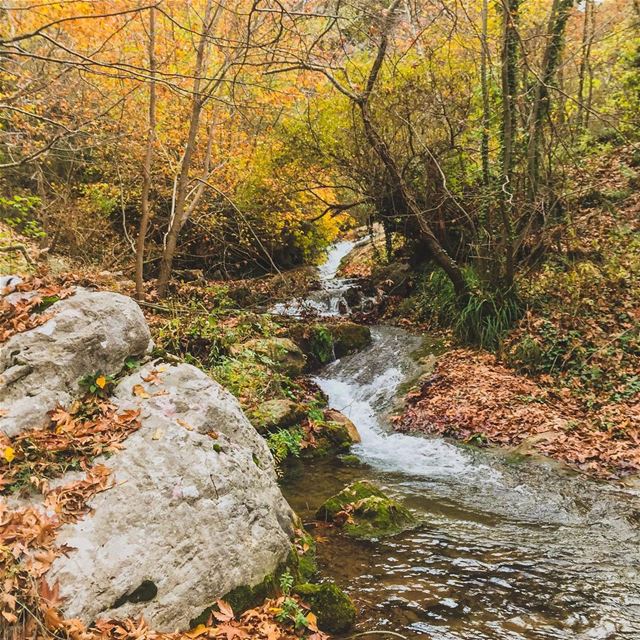 Autumn vibes!..... natgeoshot  natgeotravelpic  liveoutside ... (Lebanon)