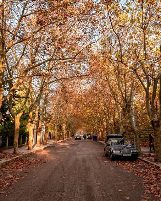 Autumn vibes 🍁🍂💛 - Sawfar Street This evening 17/11/2018... (Sawfar, Mont-Liban, Lebanon)