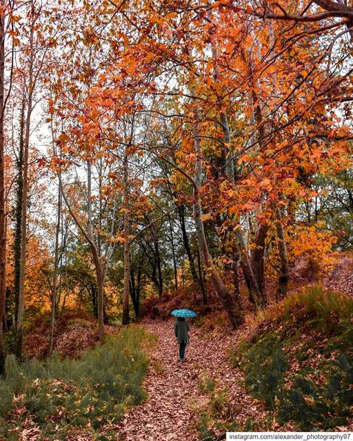 Autumn Walk 🍂⛈ - Let's breathe some fresh air and enjoy the smell of the... (Mayruba, Mont-Liban, Lebanon)