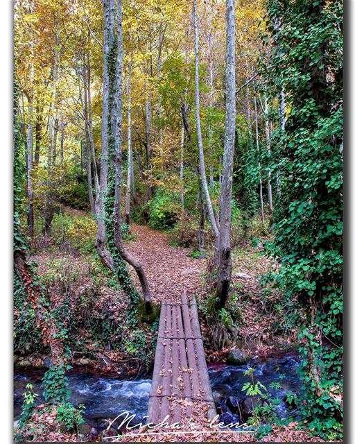 Autumnal VS Spring landscape view  discover961  lebanon  thebestinlebanon ...