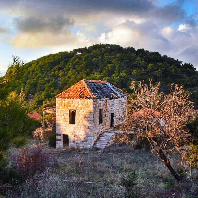 Avance sur ta Route car elle n'existe que par ta Marche - Saint Augustin ... (Ehden, Lebanon)