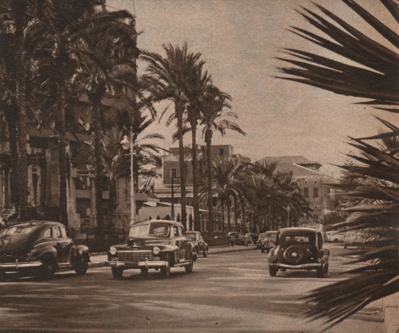 Avenue des Fran&ccedil;ais  1950s