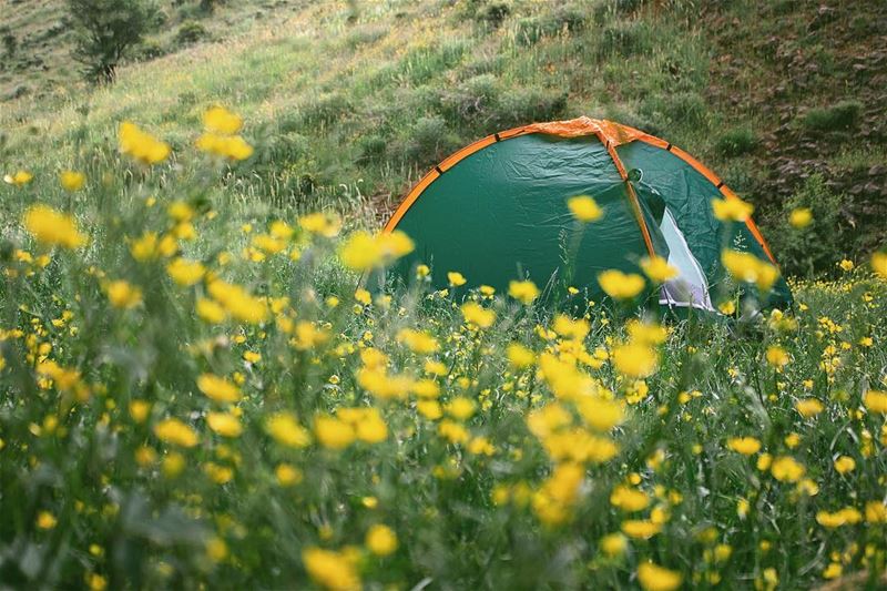 'away from the city...' (El Laqloûq, Mont-Liban, Lebanon)