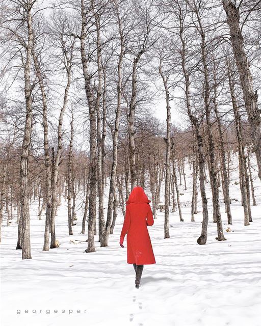 “Azer Forest” Akkar, Lebanon 🇱🇧..... proudlylebanese ... (`Akkar, Liban-Nord, Lebanon)