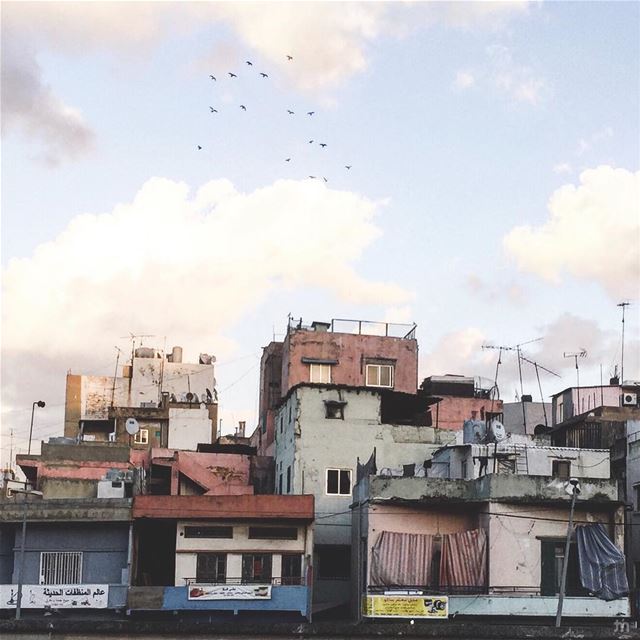 - B Beirut -... ihaveathingwithfacades  architecturephotography ... (Beirut, Lebanon)