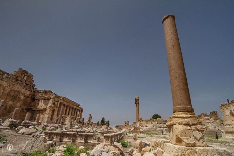 Baalbak  history   baalbak  leaves  tree  temple   Friday  beirut  cloud ... (Baalbak)