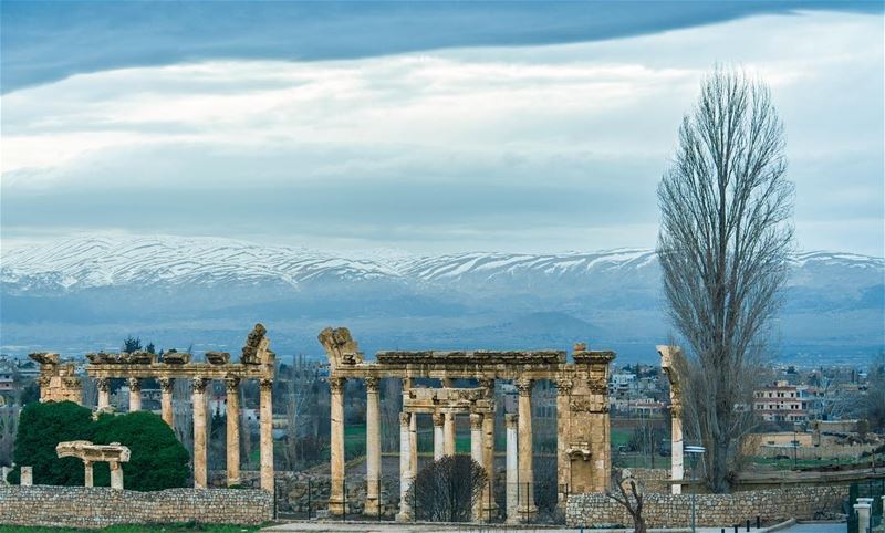 Baalbeck, Lebanon's greatest Roman treasure, can be counted among the... (Baalbek, Lebanon)