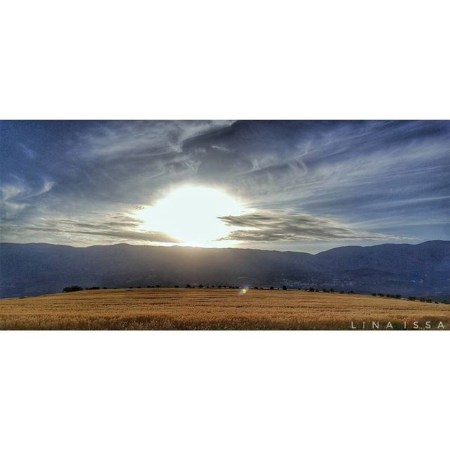 🌾🌿🌳🌄 (Baaloûl, Béqaa, Lebanon)