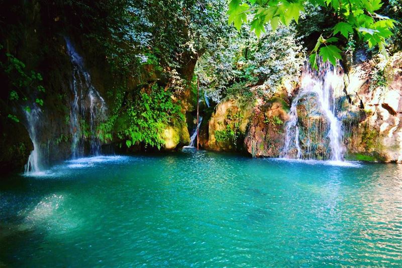  baaqline  waterfall  nature  naturephotography  chouf  livelovechouf  leb... (Baaqlîne, Mont-Liban, Lebanon)