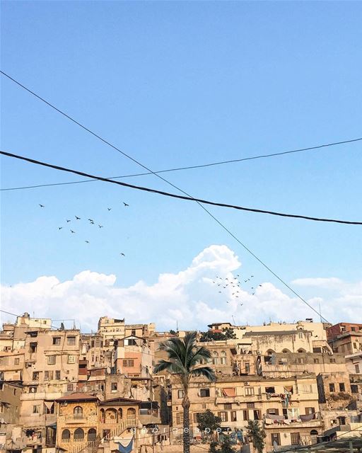 Bab-Al Tabbaneh Neighborhood - Old City of Tripoli, Lebanon 🇱🇧........ (Tripoli, Lebanon)