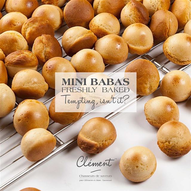 "baba au rhum" and "baba à l'arak"in all three sizes: Small, Medium and...