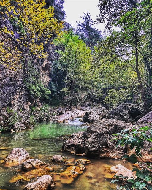 Back from a very long break from  socialmedia .... chouwen ... (Chouène, Mont-Liban, Lebanon)