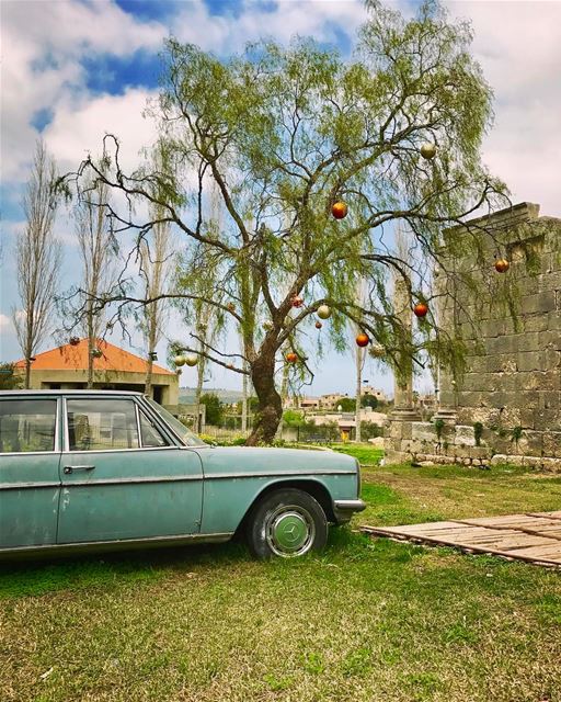 Back in time!......... livelovelebanon  keepexploring ... (Bzîza, Liban-Nord, Lebanon)