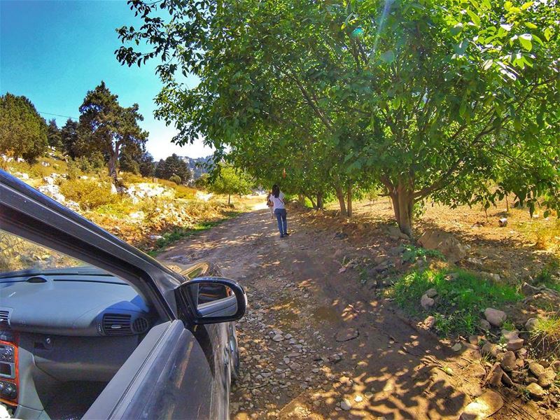 Back on the road to get rid of the load. roadtrip  nature  naturelover ...