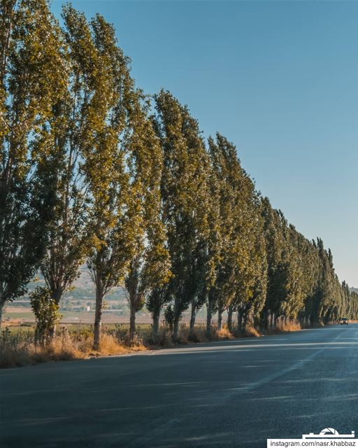 Back on the track😎  nature  landscape  photooftheday  nikonlb ... (`Ammiq, Béqaa, Lebanon)