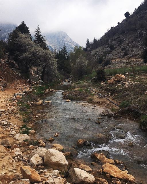 Back to nature 📍 sunday  roadtrip  lebanon  trip  travel  travelgram ... (Laklouk)