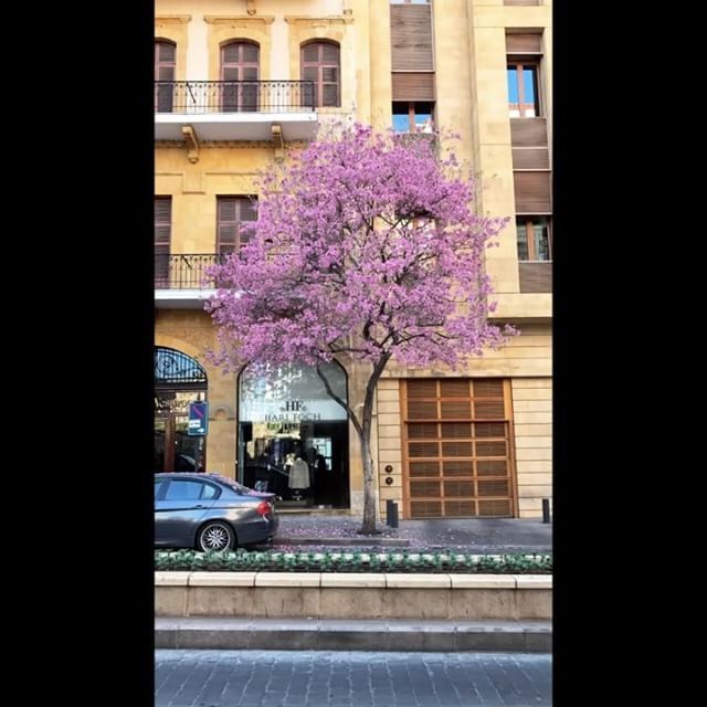 ..Back to Riyadh soon, back to school , back to reality & hopefully in... (Beirut Souks)