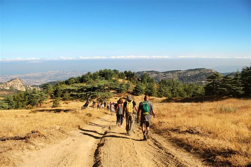 Back to roots!Thanks to @routeslb for the organization! hike ... (Niha, Liban-Nord, Lebanon)