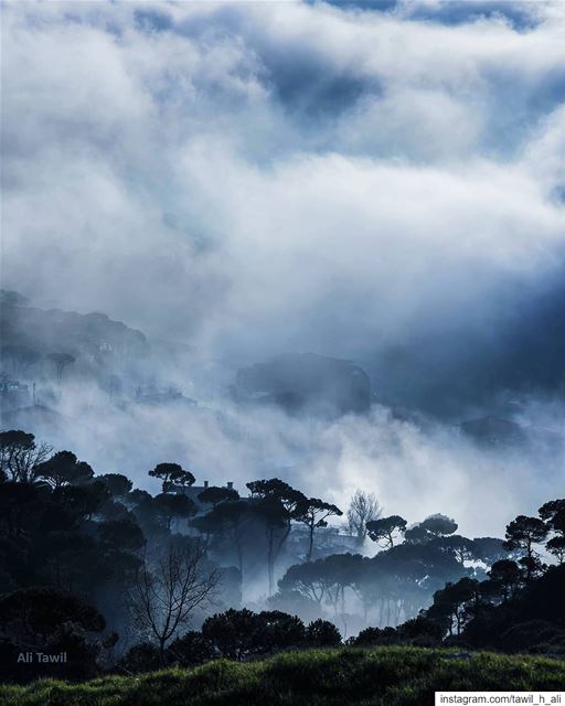 Back to Spring foggy  days ! ☁️ ------ nature  naturephotography ... (Falougha Mountaintop)
