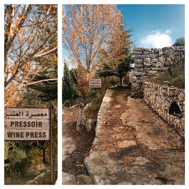 Back to the roots  oldstones  tradition  traditional  wine press  vin ...