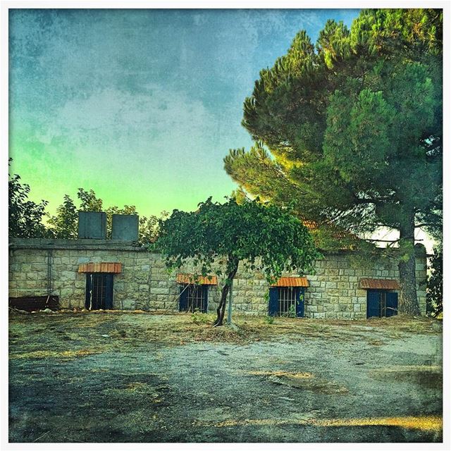 Backyard of a  mountain  house opening on the  valley  tree ...