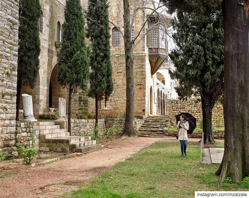 Backyard stroll on a rainy day. ... (Lebanon)