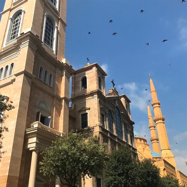 // Bae bae bae //🎈 🇱🇧 ♥️- ..... lebanon lebanese lebanon_hdr... (ساحة رياض الصلح)