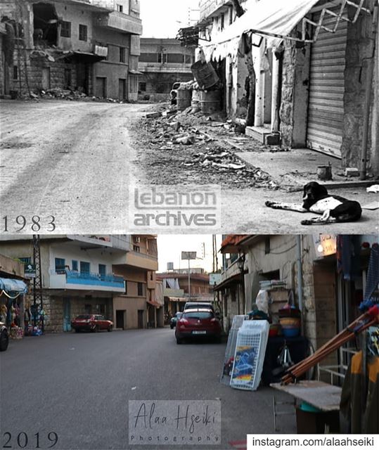 Baissour - 1983 VS 2019 ❤️... Hseiki  Lebanon  beirut  nature ... (Baïssoûr, Mont-Liban, Lebanon)